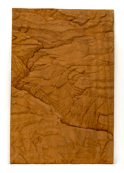 "Canyon" Studio Wood Carving